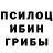 Галлюциногенные грибы ЛСД Ege Ogutcuu