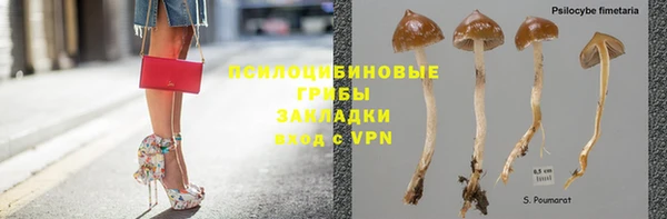 Альфа ПВП Арсеньев