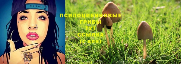бошки Аркадак